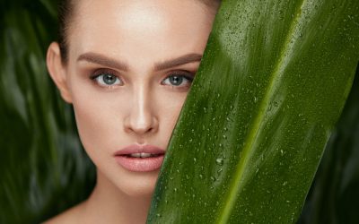 Zoom sur le maquillage Vegan